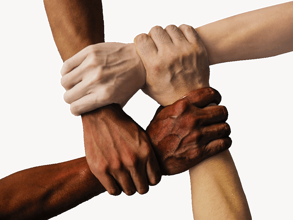 ししゃもをフライパンで美味しく焼く方法は？