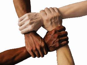 ししゃもをフライパンで美味しく焼く方法は？