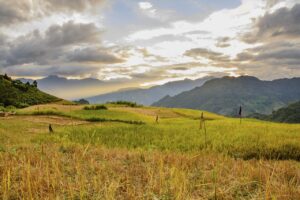 さんまの炊き込みご飯は骨まで美味しく楽しめる？