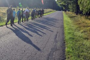 戻り鰹のたたきを使った絶品アレンジレシピは？