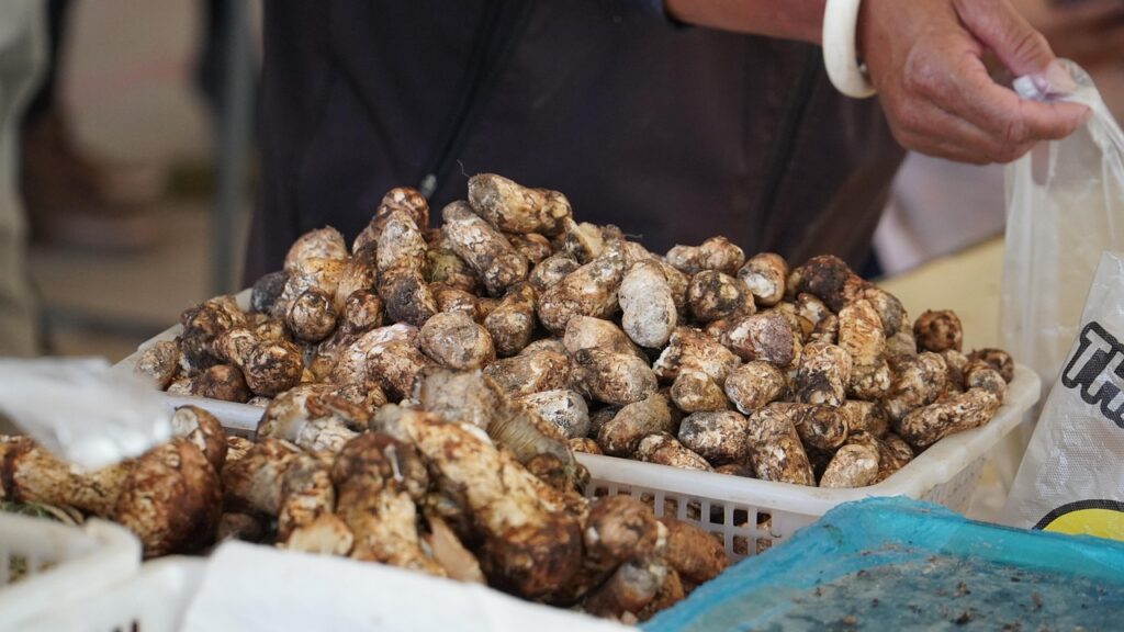 松茸ご飯に松茸なしで作る美味しいレシピは？