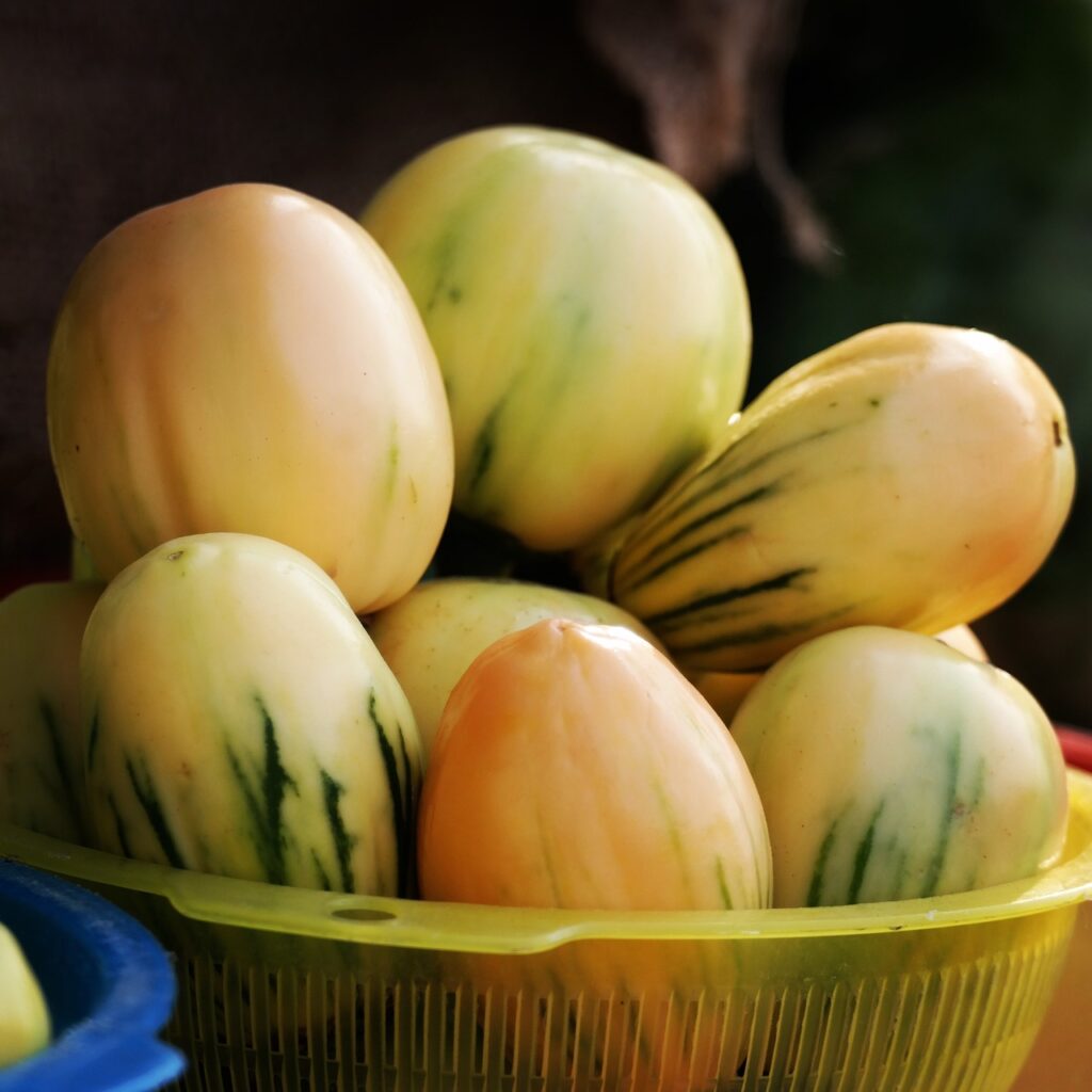 なすを使ったグラタンの美味しいレシピは？