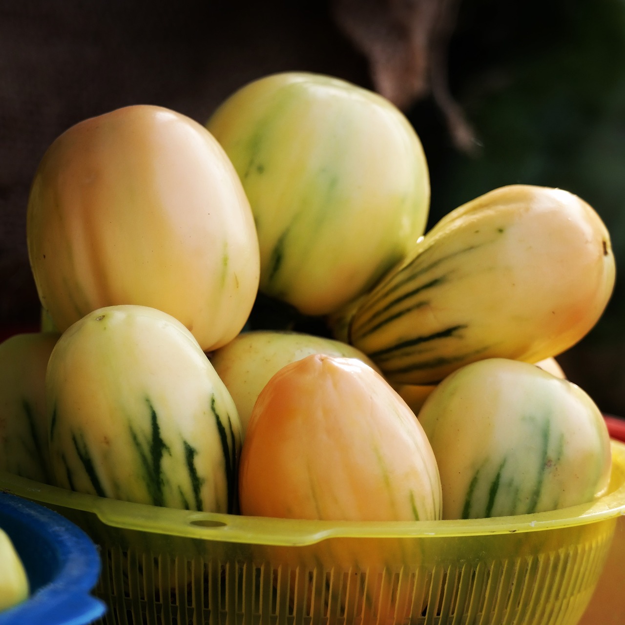 なすを使ったグラタンの美味しいレシピは？