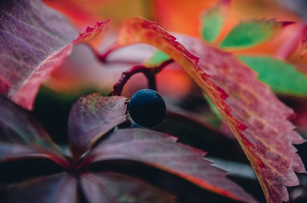 ぶどうジャムの簡単レシピはどのように作る？