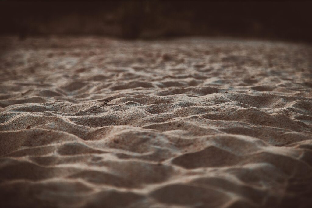 秋の旬魚を使った簡単レシピは？