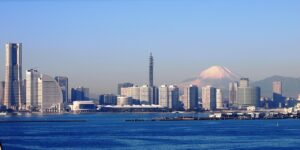 さんまの竜田揚げを使った簡単レシピは？