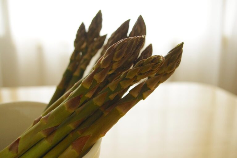 旬の食材を使った料理の方法はこれで決まり？